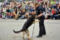 Polizeishow   024
